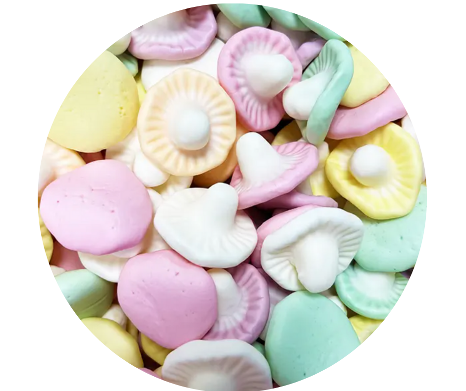 Champignons (100gr)